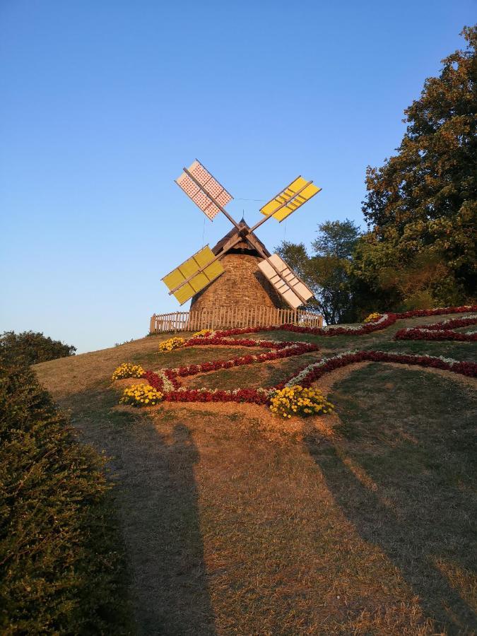 Symphony Du Vivant Lautrec Екстер'єр фото